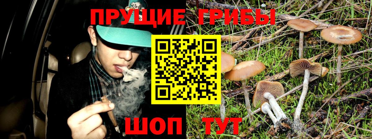 Галлюциногенные грибы Psilocybine cubensis  Вход с VPN  Новороссийск 