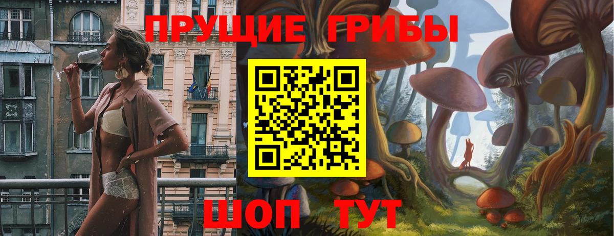 Псилоцибиновые грибы ЛСД Новороссийск